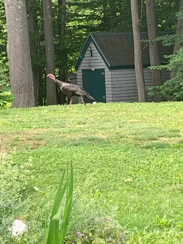 Portland, ME 04109,0 Rockledge AVE