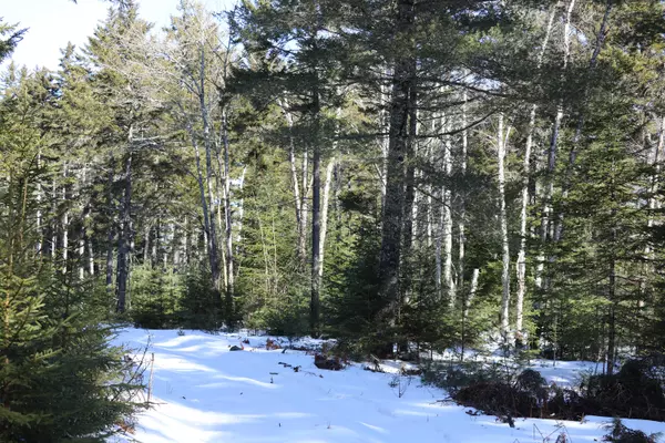 Surry, ME 04684,0 Carter Farm LN