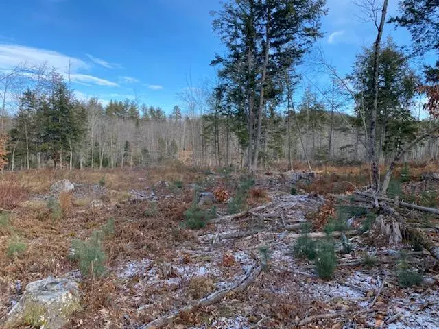 Limerick, ME 04048,001 Old Middle Road RD