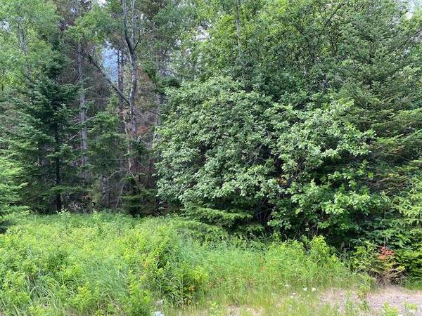 Lot 52-2 Old Greene RD, Sandy River Plt, ME 04970