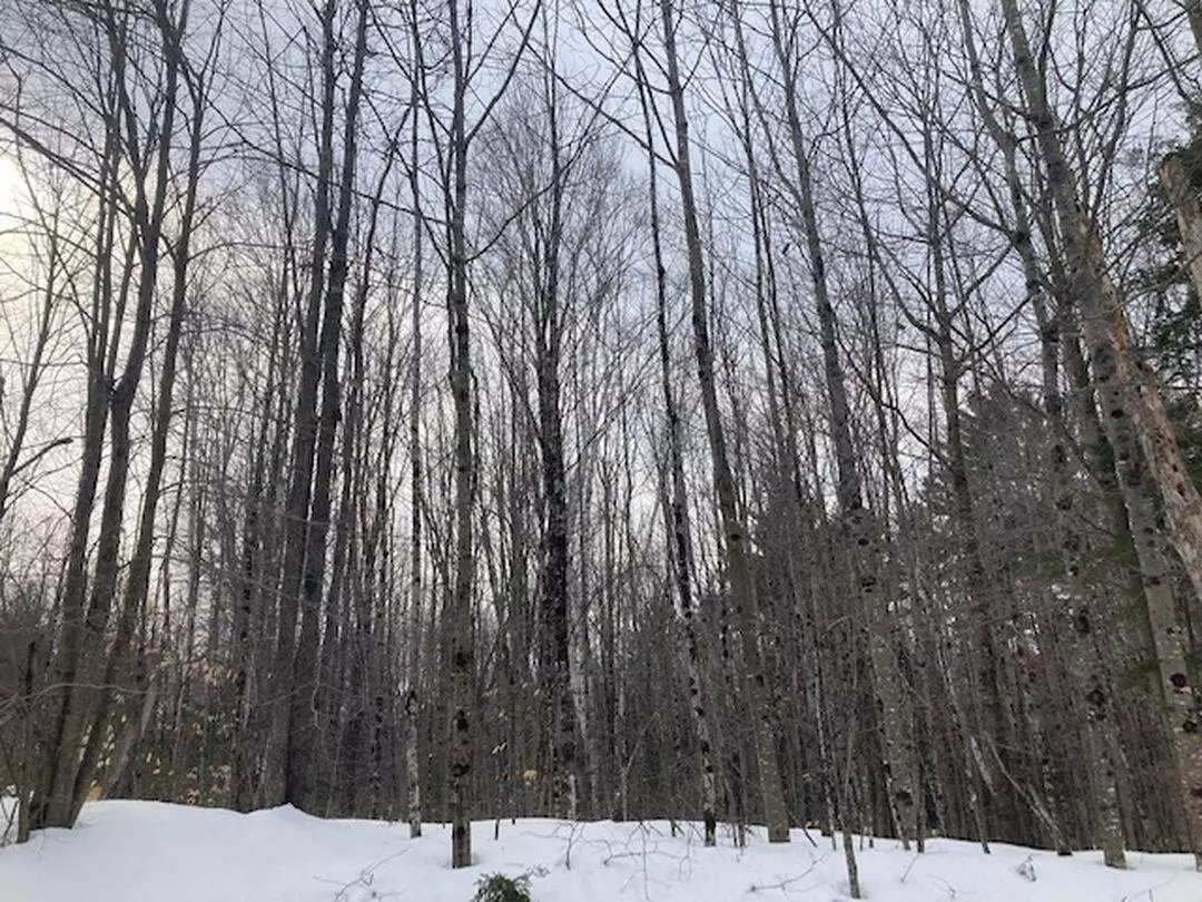 Vienna, ME 04360,M5 L8-5 Stream RD