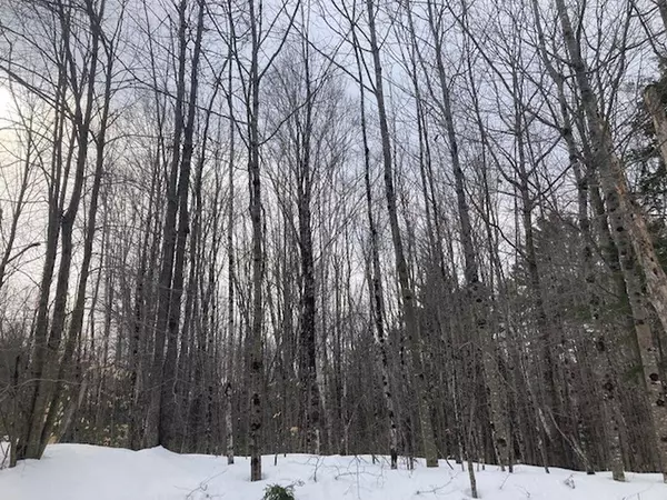 M5 L8-5 Stream RD, Vienna, ME 04360