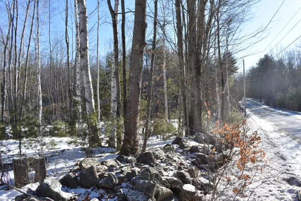 Lyman, ME 04002,TBD Clarks Woods RD