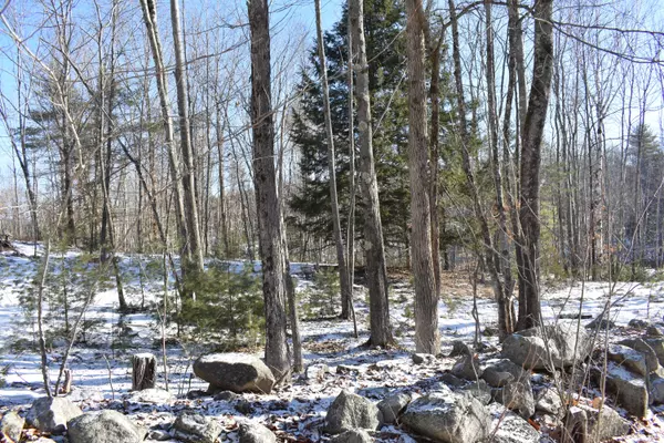 Lyman, ME 04002,TBD Clarks Woods RD