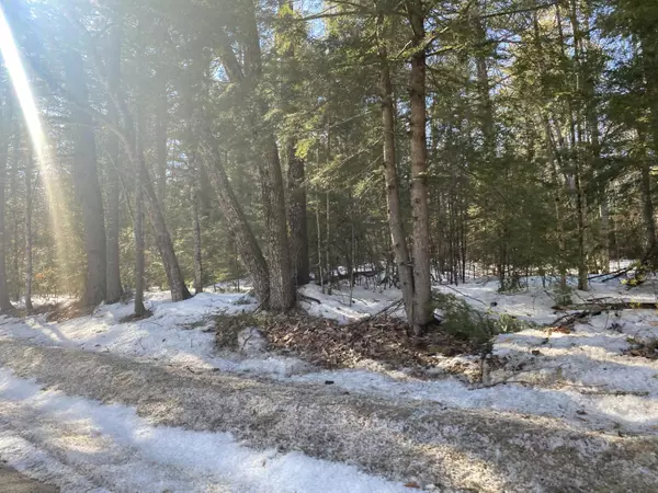Baldwin, ME 04024,4.4acres Sebago RD
