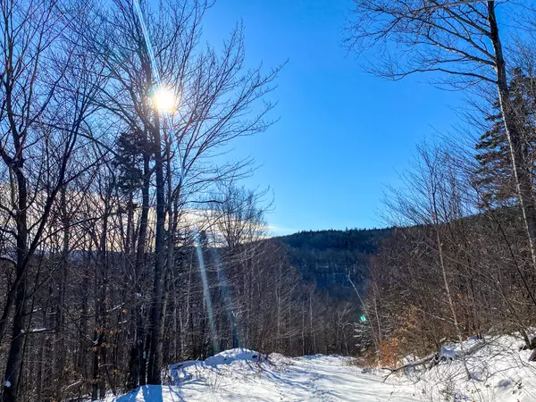 Lot 4 Off Jenkins Road, Temple, ME 04984