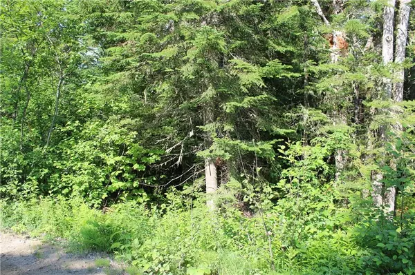 Rangeley Plt, ME 04970,M9/L24A+B Bemis RD