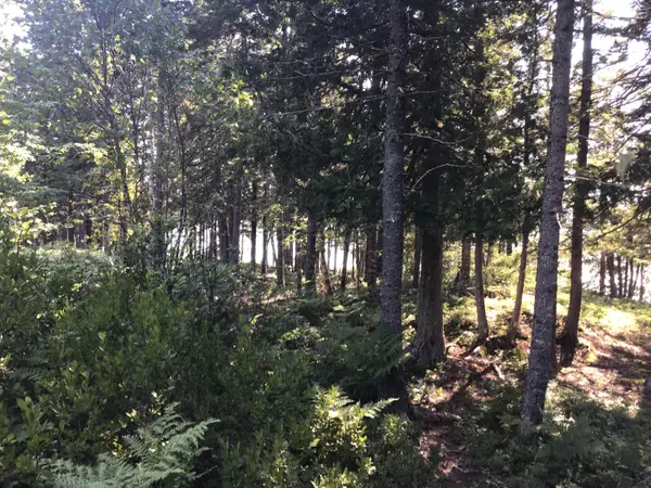 Milbridge, ME 04658,Lot 2D Eagle Point RD