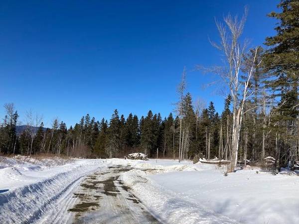 Rangeley, ME 04970,Lot 3 Eva D LN