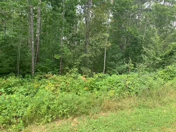 Lot 6 Trillium WAY, Liberty, ME 04949