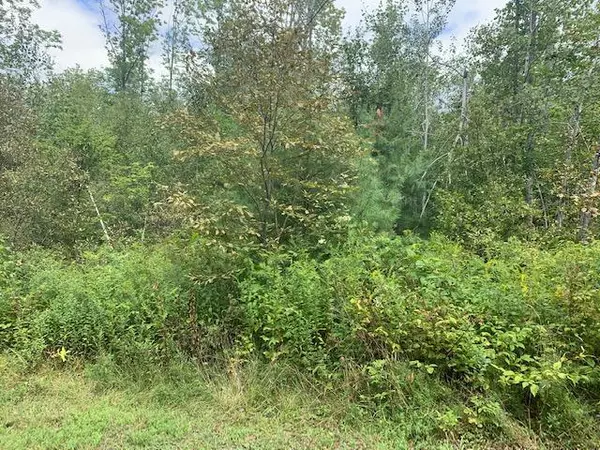 Liberty, ME 04949,Lot 9 Trillium WAY