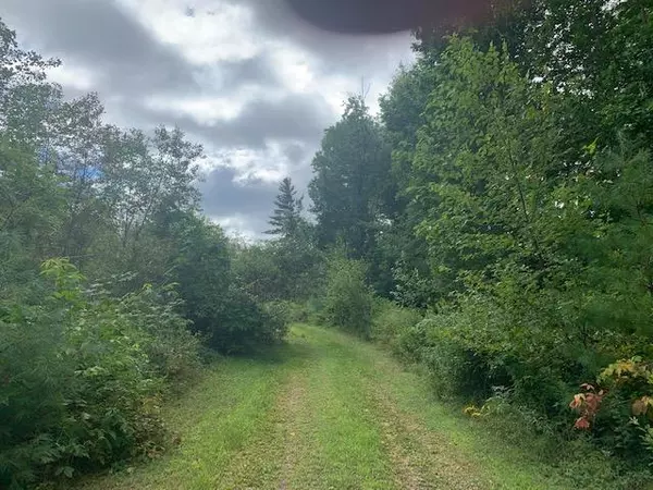 Liberty, ME 04949,Lot 9 Trillium WAY