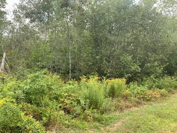 Lot 9 Trillium WAY, Liberty, ME 04949