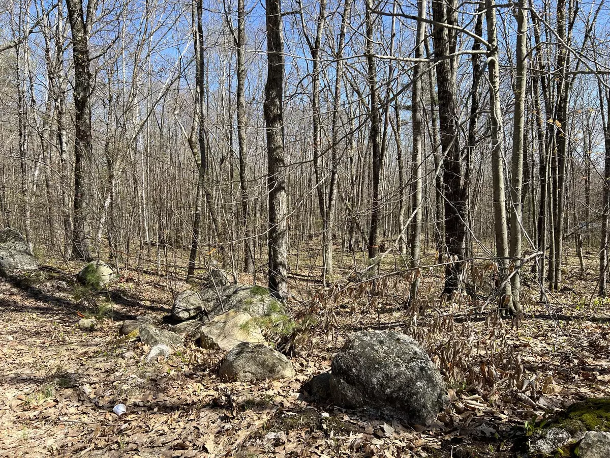 Poland, ME 04274,00 Cleve Tripp RD