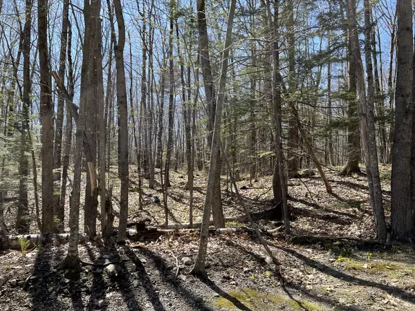 Poland, ME 04274,00 Cleve Tripp RD