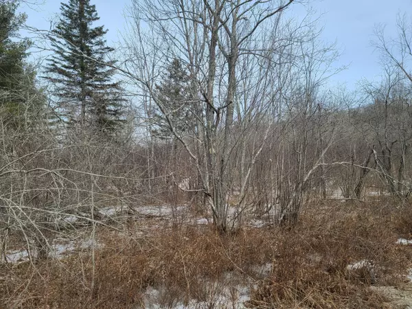 Frankfort, ME 04438,00 loggin RD