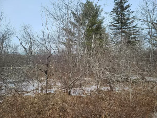 Frankfort, ME 04438,00 loggin RD