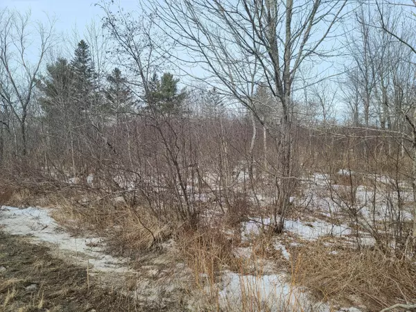 Frankfort, ME 04438,00 loggin RD