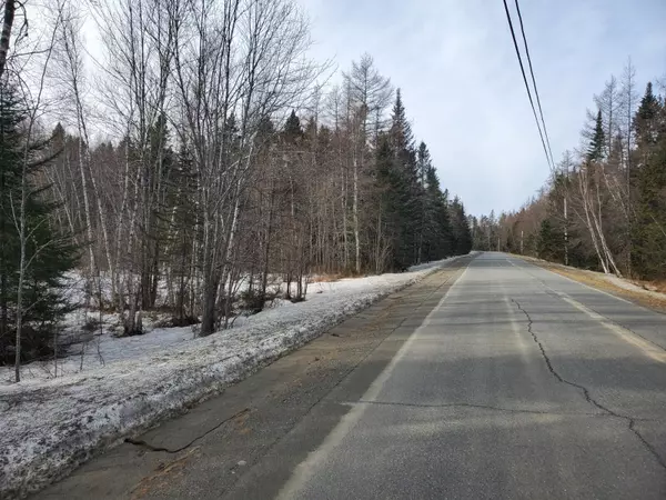 Princeton, ME 04668,55 Ac South Princeton RD