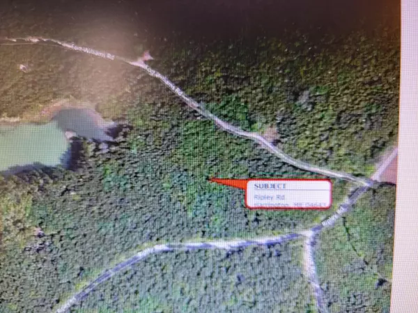Harrington, ME 04463,Lot 17 Ripley RD