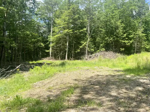 Lot 1.5 Reservoir Hill RD, Parsonsfield, ME 04047