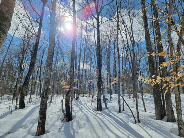 Roxbury, ME 04275,M3 L8B Roxbury Notch Rd