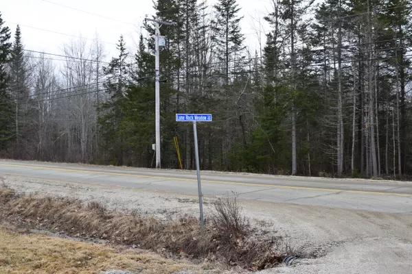 Surry, ME 04684,Lot 4 Lone Rock Meadow LN