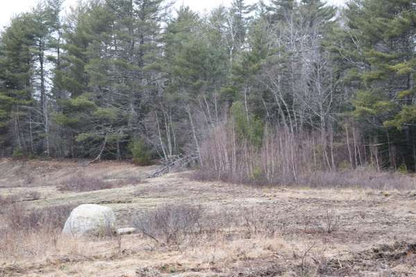 Lot 4 Lone Rock Meadow LN, Surry, ME 04684