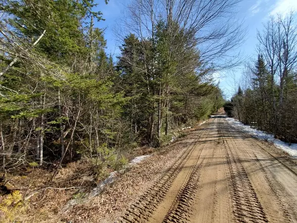 Lakeville, ME 04487,650 Red Pine RD