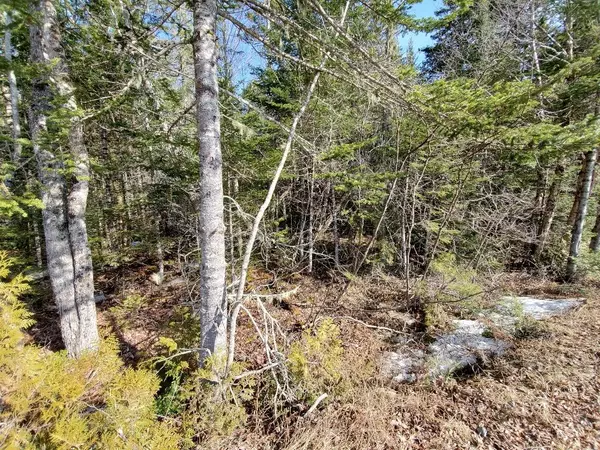 Lakeville, ME 04487,650 Red Pine RD