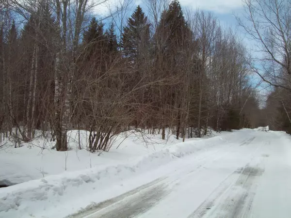 Prentiss Twp T7 R3 Nbpp, ME 04487,tbd Independence Circle