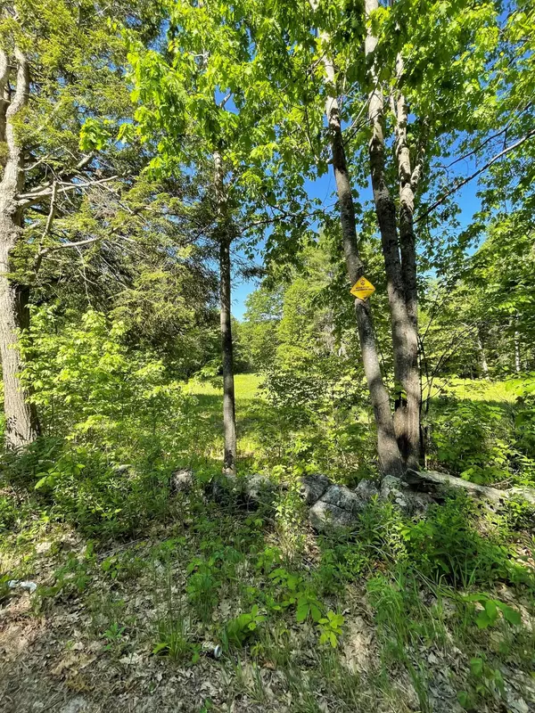 Greene, ME 04236,Lot 2 North River (Parcel 2) RD