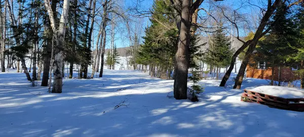 Portage Lake, ME 04768,92 West RD