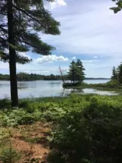 Surry, ME 04684,124 Decorum Road