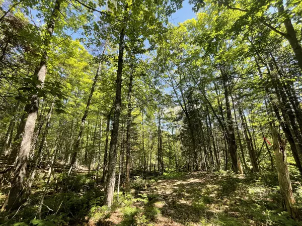 New Portland, ME 04961,TBD Carrabassett RD