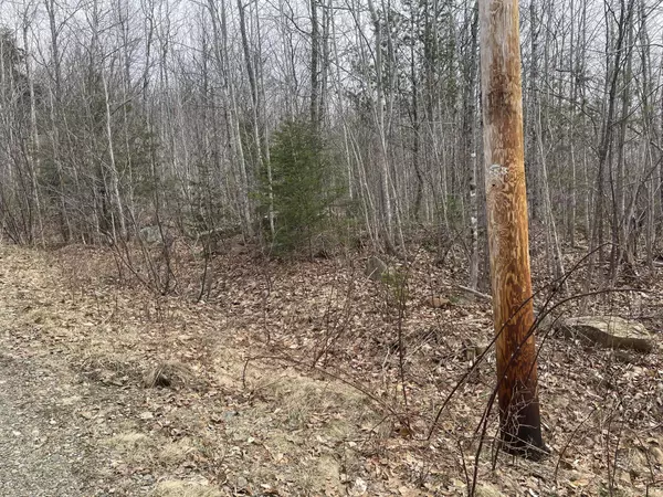 Phillips, ME 04966,R13 L21A.2 Mooseley Ridge RD