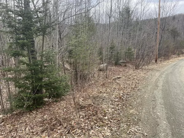 Phillips, ME 04966,R13 L21A.2 Mooseley Ridge RD