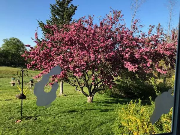 Saint George, ME 04860,66 Glenmere RD