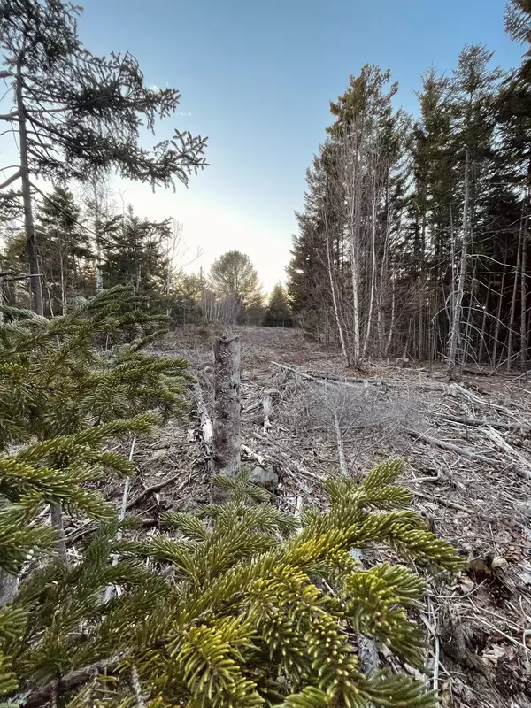 East Machias, ME 04630,M18 L5 Scott's Hill RD