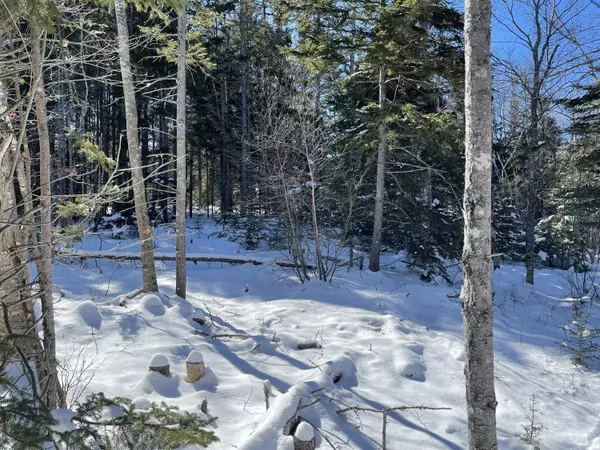 East Machias, ME 04630,M18 L5 Scott's Hill RD