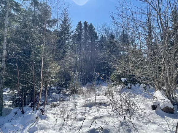 East Machias, ME 04630,M18 L5 Scott's Hill RD