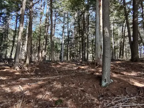 Norway, ME 04268,44 Heron WAY