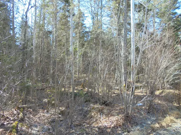 Sedgwick, ME 04676,000 Sis Porter Road