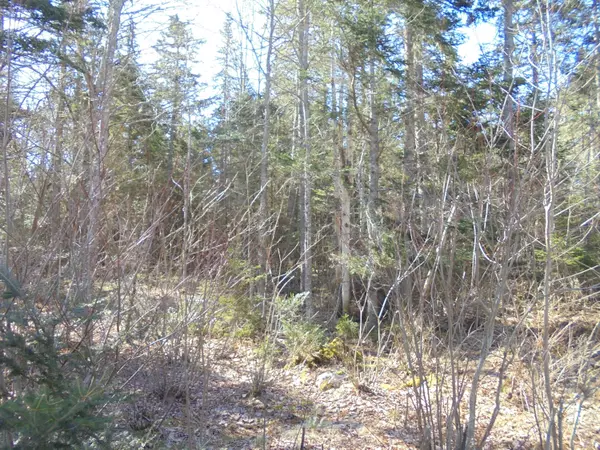 Sedgwick, ME 04676,000 Sis Porter Road