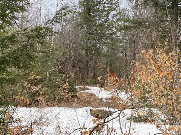 Kingfield, ME 04947,Lot 26 Sunset LN