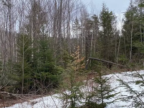 Kingfield, ME 04947,Lot 26 Sunset LN