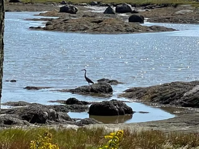 Saint George, ME 04859,133 Scraggle Point RD