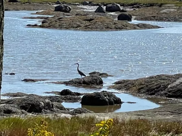 133 Scraggle Point RD, Saint George, ME 04859