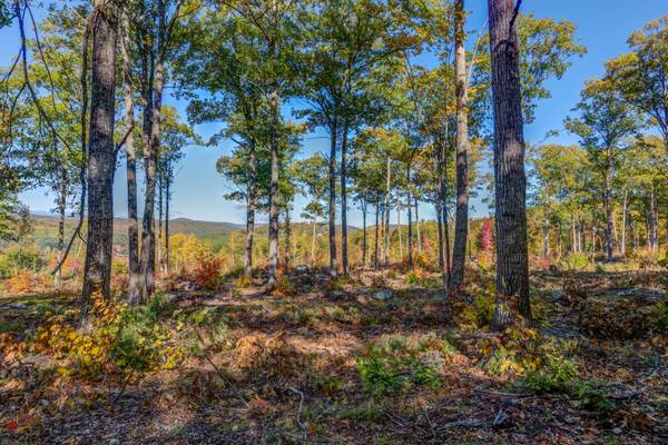 Lot B-1 Birch CIR, Harrison, ME 04040