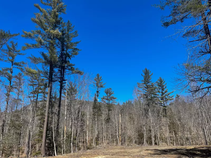 0 Old Waterford Road, Lovell, ME 04051